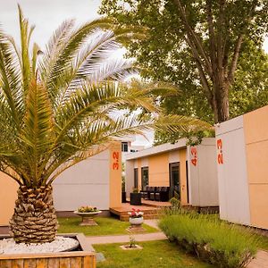 Enigma Resort